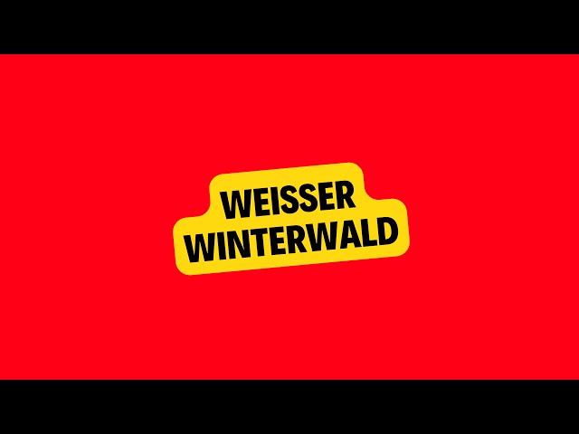 WEISSER WINTERWALD | GRUNDSCHULMUSIK