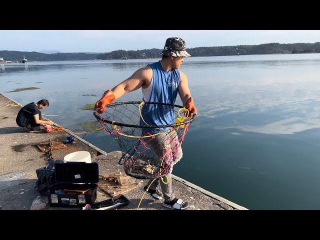 Crabbing: You won’t BELIEVE how much crabs I caught off this dock! Catch & Cook