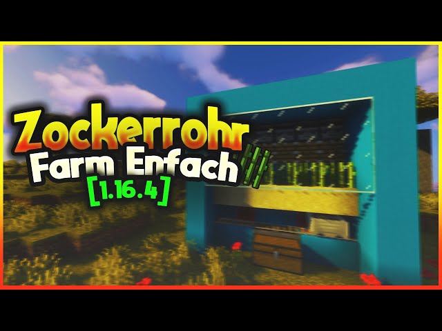 [1.16.4] Minecraft automatische zuckerrohr farm [EINFACH] BasicSkill