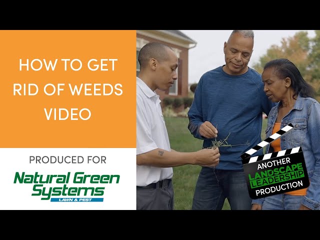 Lawn Care Tips Video: [Natural Green] How to Get Rid of Weeds