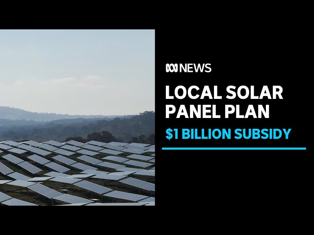 Can Australia make its own solar panels? | ABC News