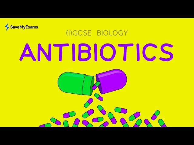 Antibiotics (with exam predictions) - GCSE & IGCSE Biology Revision 2024/2025