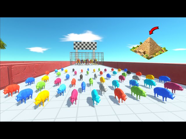 CHASE SPEED RACE TO EAT AN COLOR PIG NEW PYRAMID MAP - Animal Revolt Battle Simulator