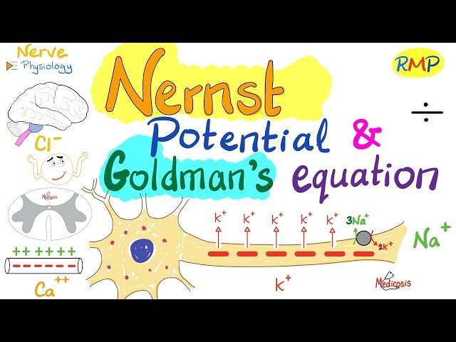 Nernst Potential and Goldman's Equation | Nerve Physiology