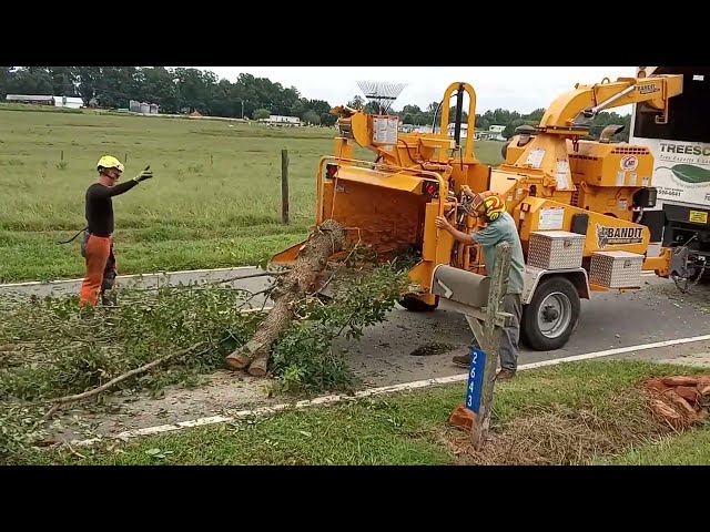 Tree Shredder Machine - Shredding the whole trees in minutes