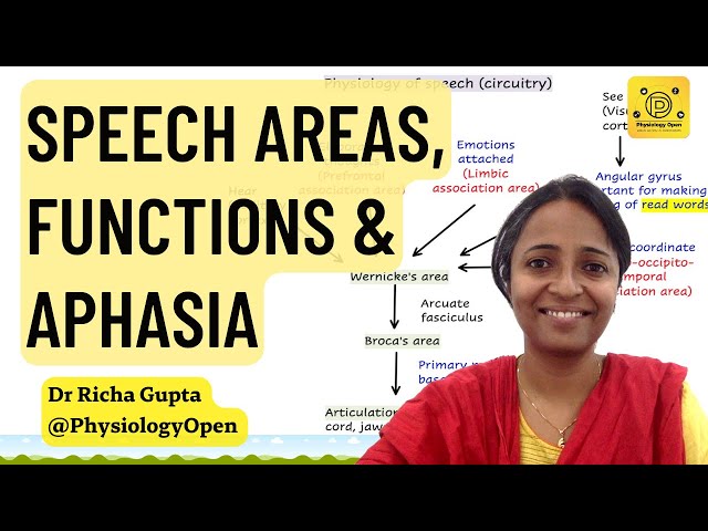 Physiology of speech production | Aphasia | CNS physiology mbbs 1st year
