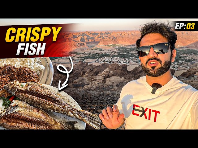 Best Crispy Fish on Our Way in Duba Saudi Arabia | AlUla to Madiyan | Road Trip | Episode 3
