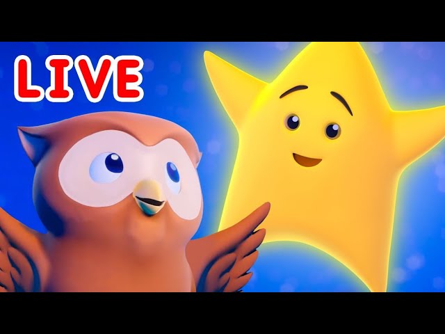 KiddieTV Live Stream | Twinkle Twinkle Little Star and Many More Nursery Rhymes