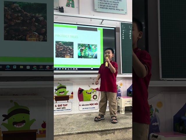 Presentation about Trees