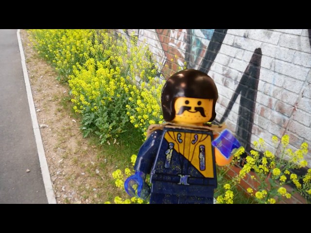 Geoff Lego eats poison -  Foraging for Kids