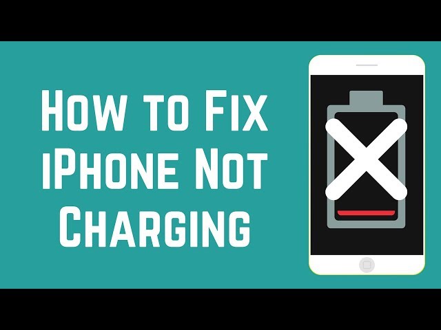 iPhone Not Charging? Try These 4 Quick Fixes!
