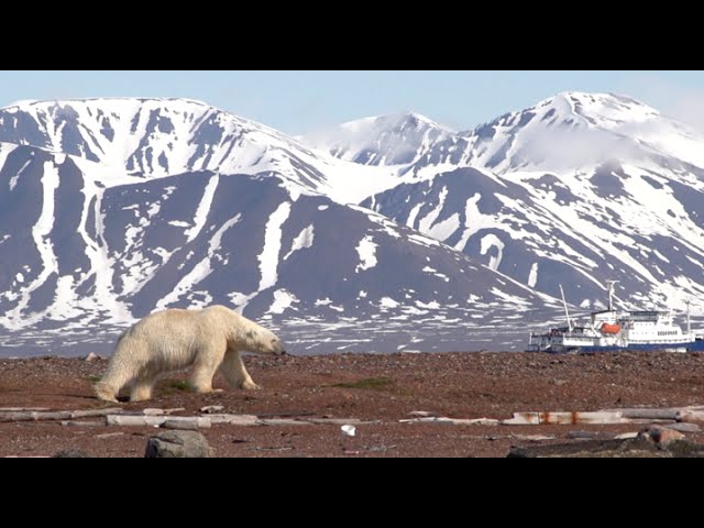 Spitzbergen 2015 mit PolarNews