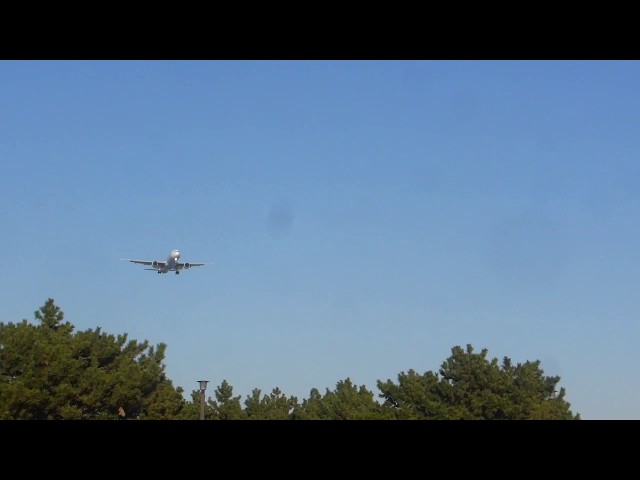 [B777-300]  Low-flying Landing At park!