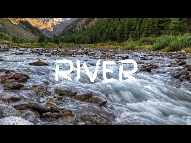 Relaxing River Sounds for Mind & Body | ASMR for Study, Sleep, & Stress Relief