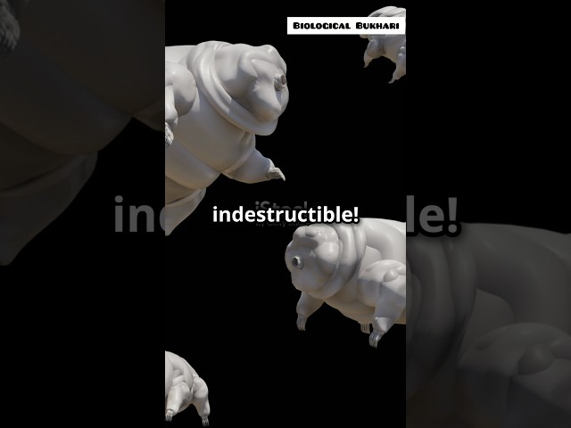 Unbelievable resilience of tardigrade revealed