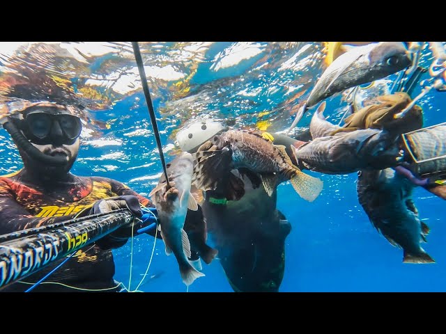 Spearfishing Trip Andros Island - Many Fish in the Shallows!