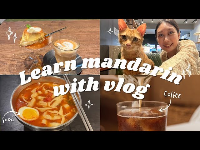 Learn Taiwanese Mandarin with Vlog - Cat cafe
