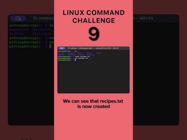 Level 9 - Linux Command Challenge #linux #macos #cmd #terminal #learning #challenge #challengeshorts
