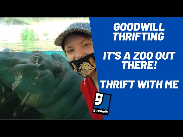 Goodwill Thrifting and Then To the Zoo - Thrift With Me