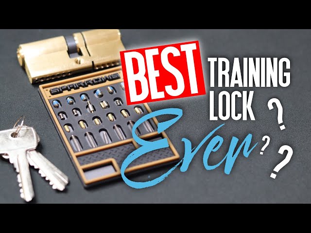 006 Is this the best training lock out there?