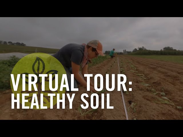 Rodale Institute Virtual Tour: Healthy Soil (3/5)