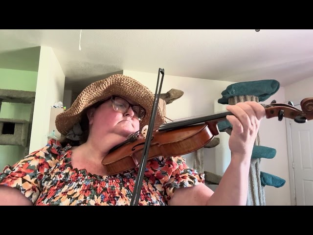 Jenni’s fiddle practice: Red Wing (adult starter beginner violin)