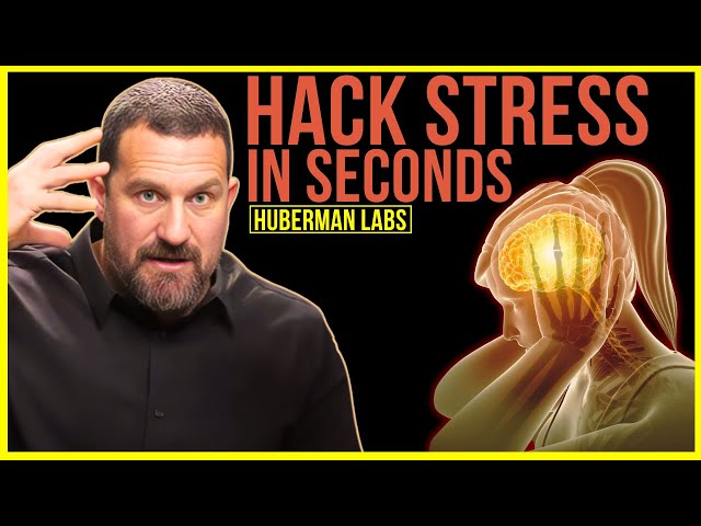 "YOU'LL NEVER FEEL STRESSED AGAIN!" | Andrew Huberman (ANIMATED)