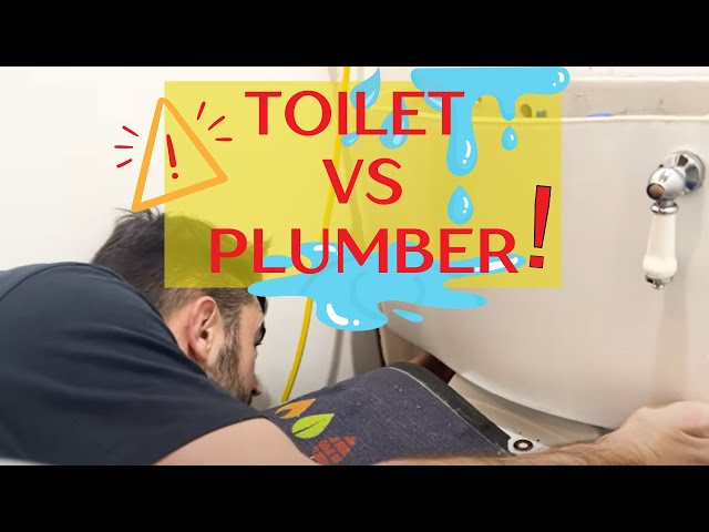 TOILET vs PLUMBER - WHO will WIN? HOW TO... CHANGE A BROKEN FLUSH