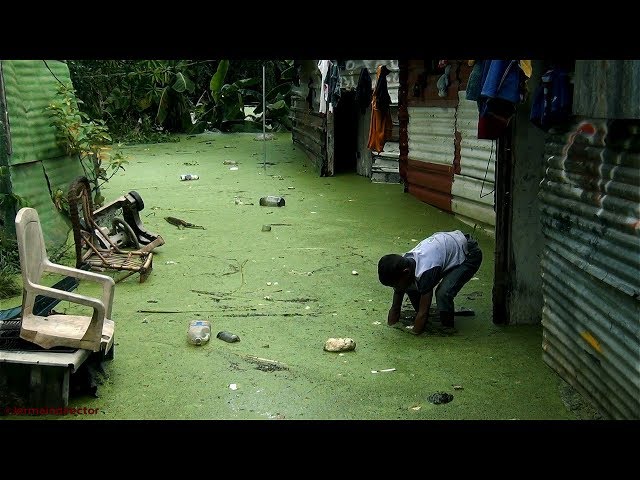 Comunidad inundada - Puerto Ordaz #5Ago - Venezuela