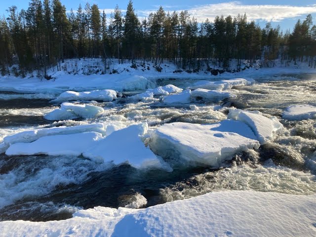 5. Schwedisch Lappland - Acht Jahreszeiten - Winterfrühling 1