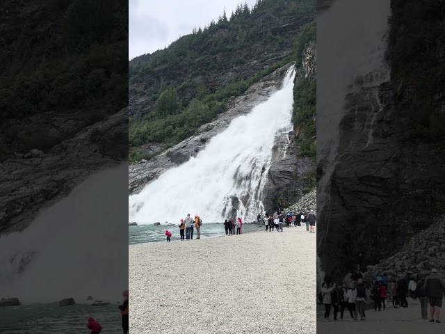 Mendenhall Glacier & Nugget Falls #cruise #norwegianencore  #travel  #alaskacruise