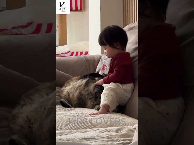 Cutest Babies Play With Dogs And Cats Compilation #cute #baby #funnybaby #cat #shortvideo#shorts