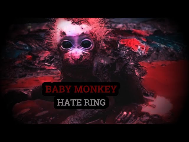 Baby Monkey Hate: Down the Rabbit Hole