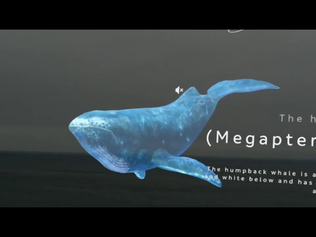 Future School? Magic Leap Whale at Torrey Pines Cliffs