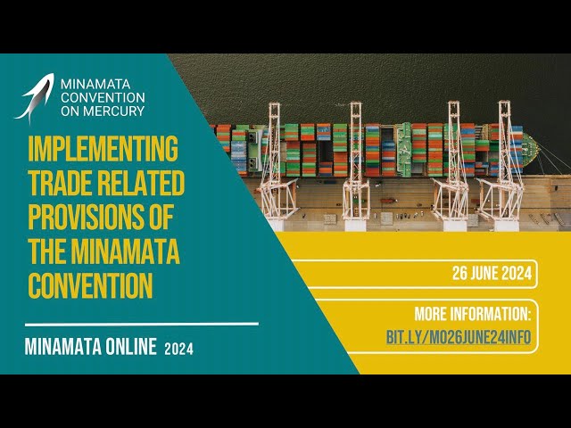 Minamata Online 4: Implementing trade related provisions of the Minamata Convention