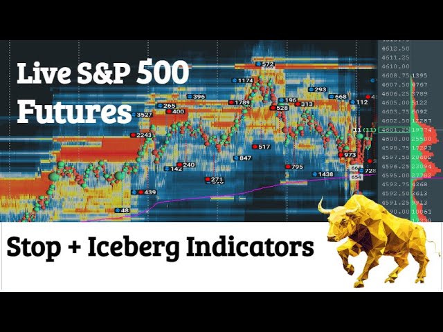 🐶🛑+🧊 LIVE ES S&P 500 Futures Day Trading 6.25.24.  Bookmap, Volume Profile Auction Theory