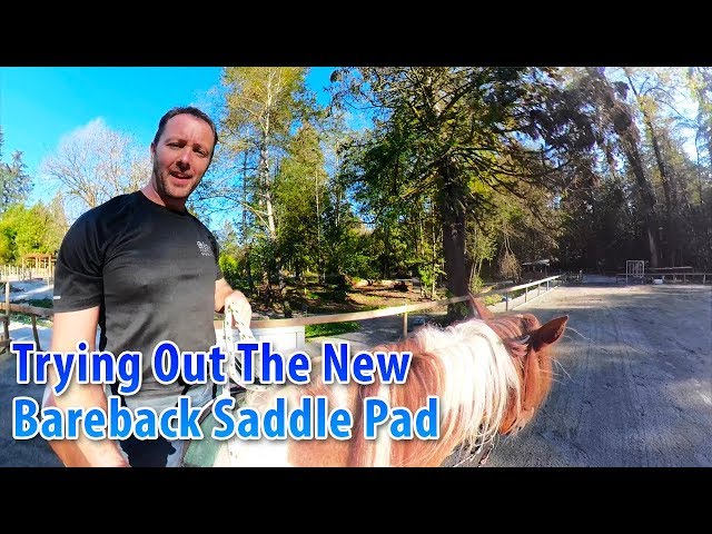 Trying Out The New Bareback Saddle Pad - 360° Video