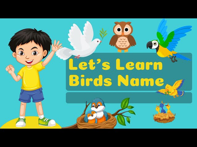 Title: "Learn Bird Names for Kids | Fun Bird Identification and Facts!"