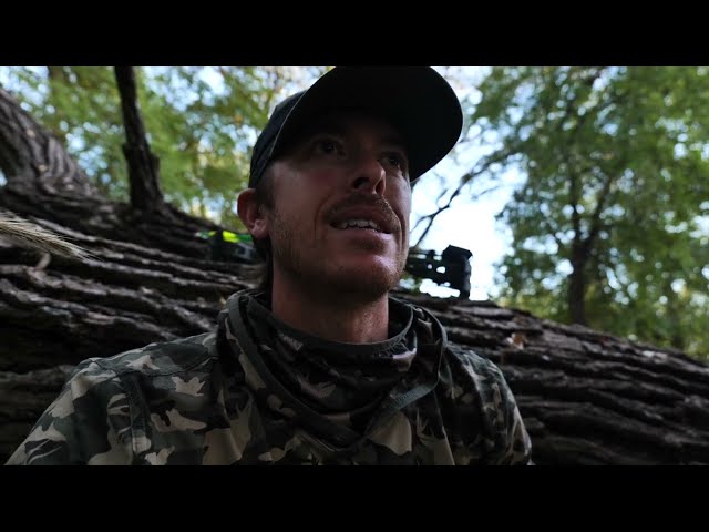 Stalking Bottomland Hogs with Bow  | Close Encounter!
