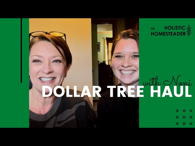 DOLLAR TREE HAUL!! With Noni from Noni’s Life!! 🤑 YAY!! 🤑 Great finds this time!! We had FUN!