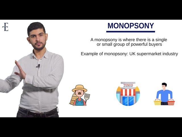 A-Level Economics [Theme 3]: Monopsony