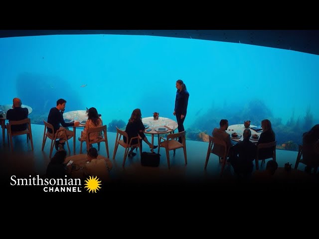 This Underwater Seafood Restaurant in Norway is Dazzling 🍤 How Did They Build That? | Smithsonian