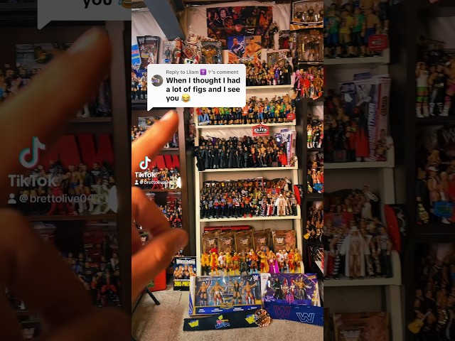 BIGGEST WWE FIGURE COLLECTION