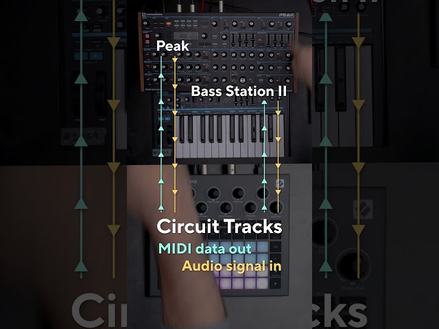 How to make music without a computer, DAWless music creation with Circuit Tracks - PART 1