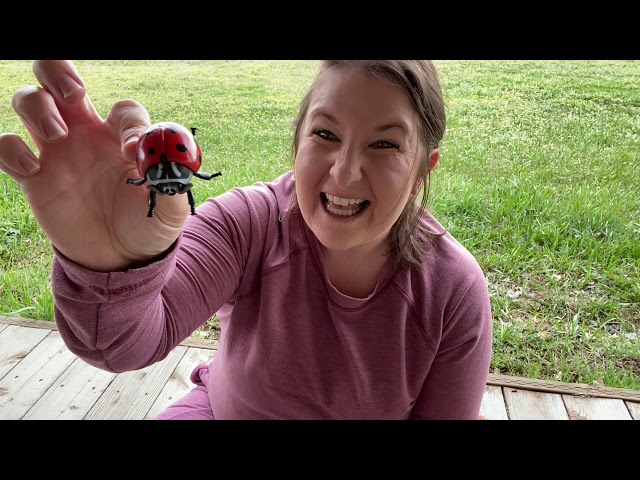 Ladybug Life Cycle with Bridget