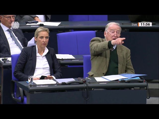 Beleidigungen und Eklats im Bundestag