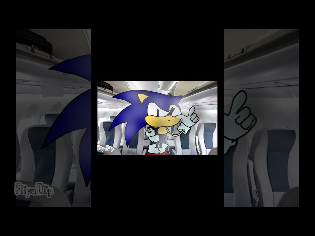 Talk about low budget flights! #sonic #sonicadventure2