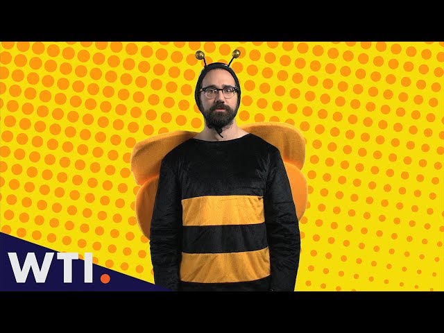 The Problem With Bumblebee Man (Teaser) | We The Internet TV