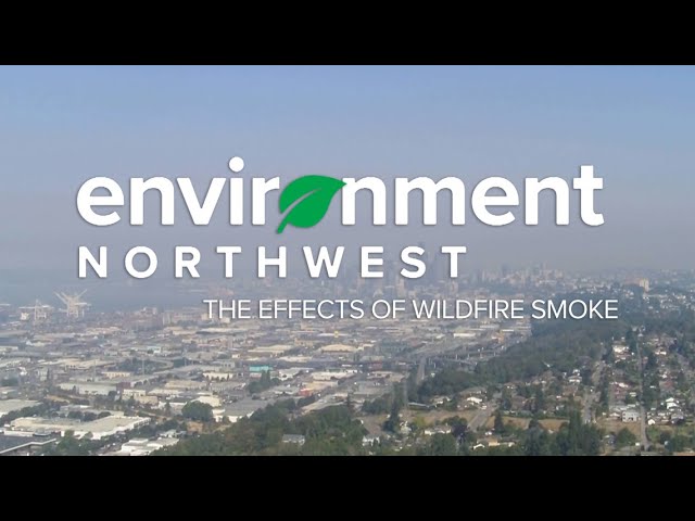Battling poor air quality effects of wildfire smoke | Environment Northwest