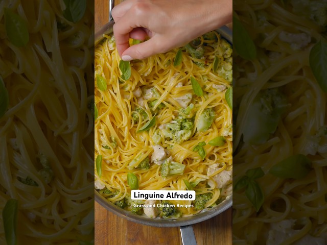 Linguine Alfredo Recipe #linguine #alfredo #pasta #recipe #shorts